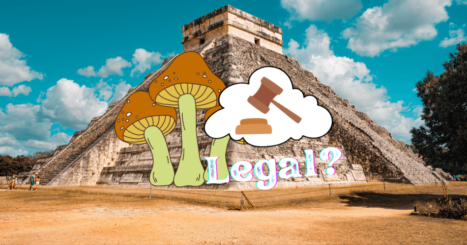 are mushrooms legal in mexico