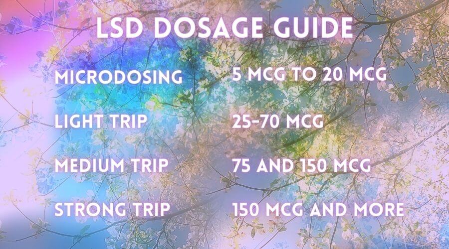 LSD Dosage Guide | Doses of Psychedelics • Best Mushroom Store