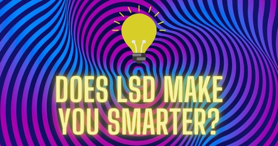 does lsd make you smarter