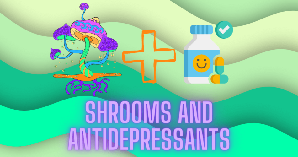 shrooms and antidepressants